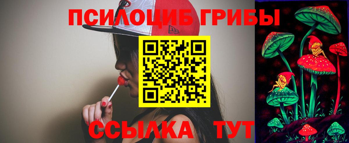 Кизляр  Галлюциногенные грибы ЛСД  Вход с VPN  даркнет сайт  Галлюциногенные грибы мицелий 