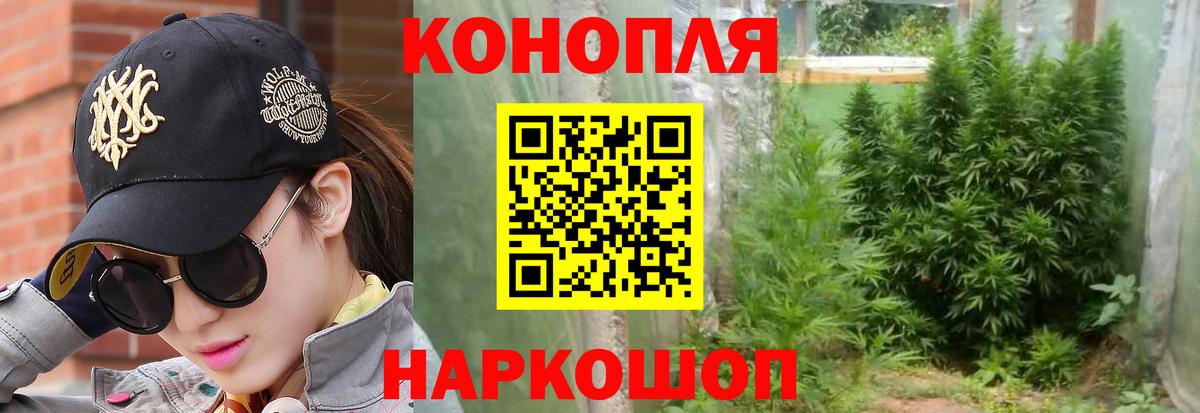 Кизляр  Бошки Шишки ГИДРОПОН  Вход с VPN  Бошки марихуана план  МАРИХУАНА конопля 